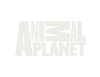 Animal Planet